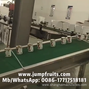 Tin can capping and sealing machine